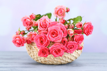 Beautiful small pink roses, on light background