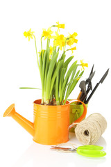 Composition with garden equipment and flowers in watering can