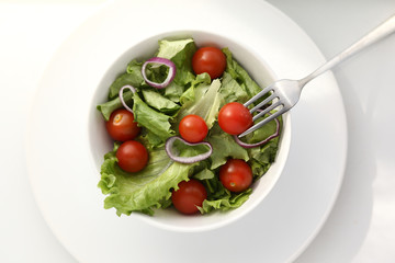 meal salad dish