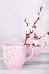Beautiful apricot blossom in cup on light background