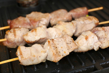 Pork kebab on grill close up