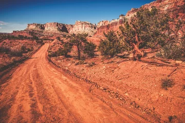 Printed roller blinds Brick Utah Wilderness Road