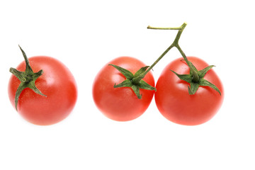 Three tomatoes on a branch isolated.