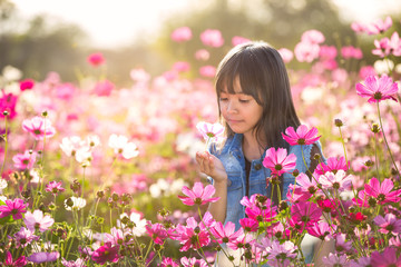 Little asian girl in cosmos flower fields