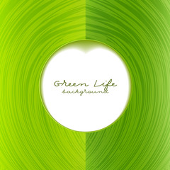 Abstract green frame with place for your text. Green life - 63797215