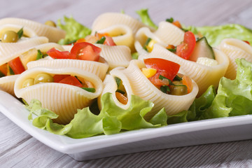 Italian pasta lumakoni stuffed salad of fresh vegetables closeup