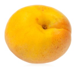 Ripe apricot