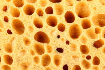 orange sponge with big holes