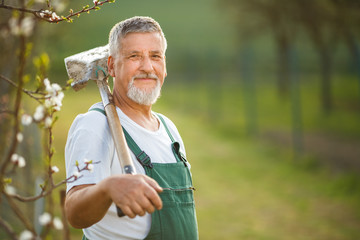 Portrait of a handsome senior man gardening in his garden