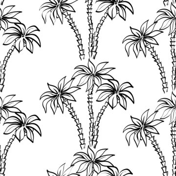 Seamless pattern, palm trees contours