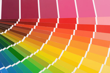 The color palette as a background