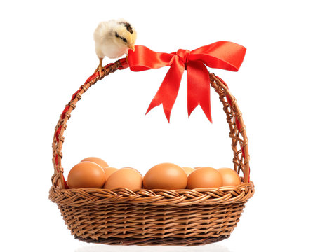 Chickens with basket