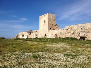 Ancient building ruins at blooming field