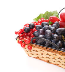 Fresh cranberries and grapes in basket isolated on white backgro