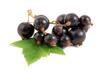 Schwarze Johannisbeeren