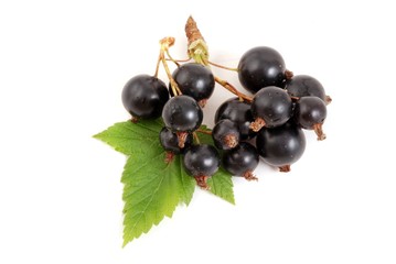 Schwarze Johannisbeeren