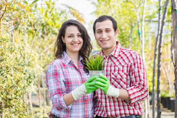Gardeners Holding Small Plant at Nursery