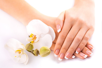 beautiful french manicure with white orchid on white - obrazy, fototapety, plakaty