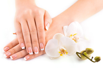 beautiful french manicure with white orchid on white - obrazy, fototapety, plakaty