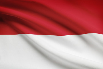 Series of flags. Unitary Presidential Republic of Indonesia.