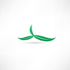 aloe green icon