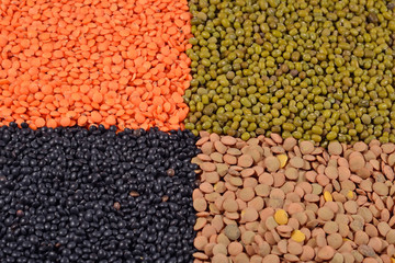 Mixture of dried lentils and beans