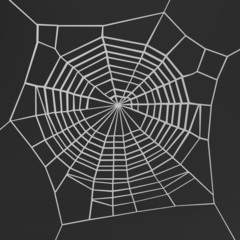 realistic 3d render of spiderweb