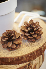 Pine cones