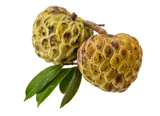 Annona