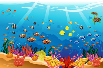 Plakat Marine underwater scene