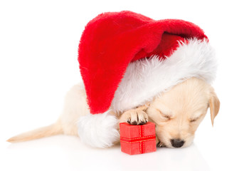 golden retriever puppy dog with gift and santa hat. isolated 