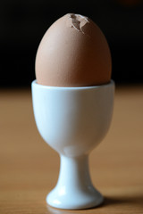 Brown egg in a white cup on a wooden table