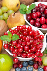 fresh red currant, berries and fruits