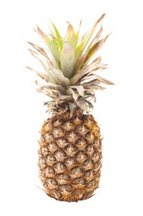 Single pineapple isolated on white