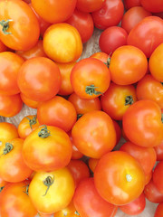 Raw tomatoes