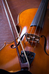 Fototapeta premium Still life violin,music instrument.