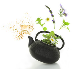 Teapot with bouquet of various herbs and splash isolated