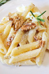 rigatoni and nuts cream