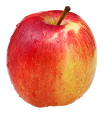 wealthy apple