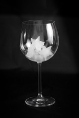 Ice rocks on a wineglass