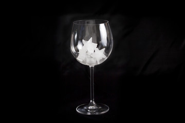 Ice rocks on a wineglass