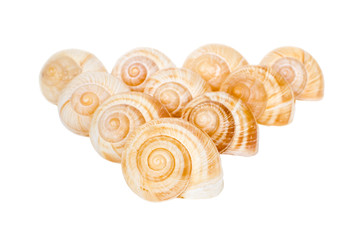 Pyramid of spiral shells isolated