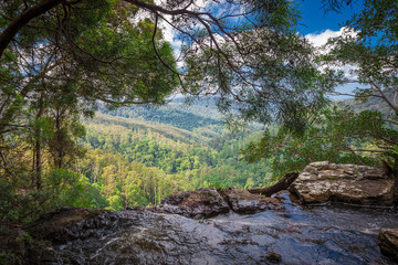 Springbrook national park, Australia