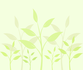 Plant background