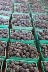 Boxes of Blueberries