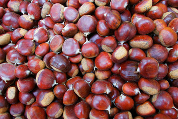 Pile of Chestnuts
