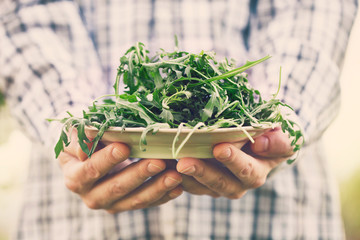 Rocket salad