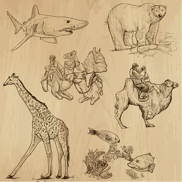 Animals around the World (set no. 16) - vector set, hand drawn