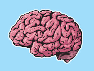 Brain