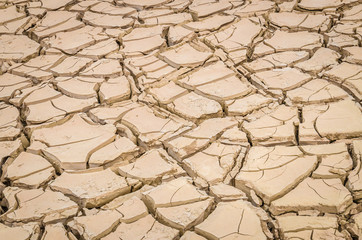cracked soil
